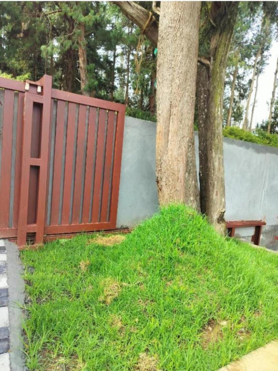 Stellar Homes Ooty Bagian luar foto